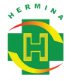 RS Hermina